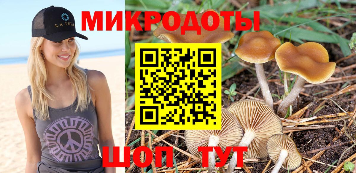 Псилоцибиновые грибы Psilocybe Чайковский