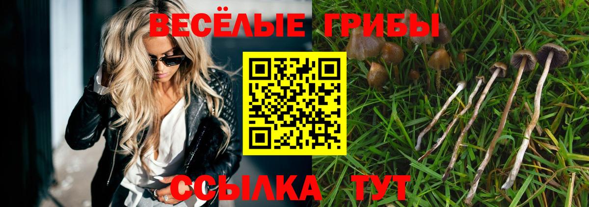 Галлюциногенные грибы мухоморы  Вход с VPN  Чайковский 